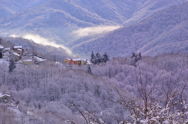 Paesaggio invernale